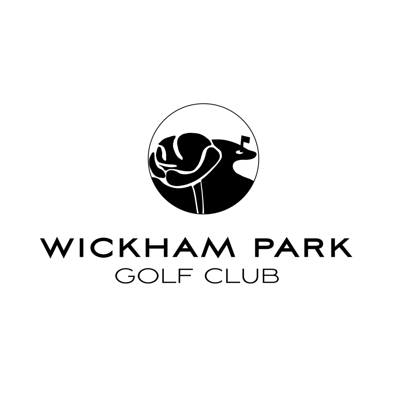 Wickham Golf Club’s Ryder Cup Success and Festive Fun on the Horizon